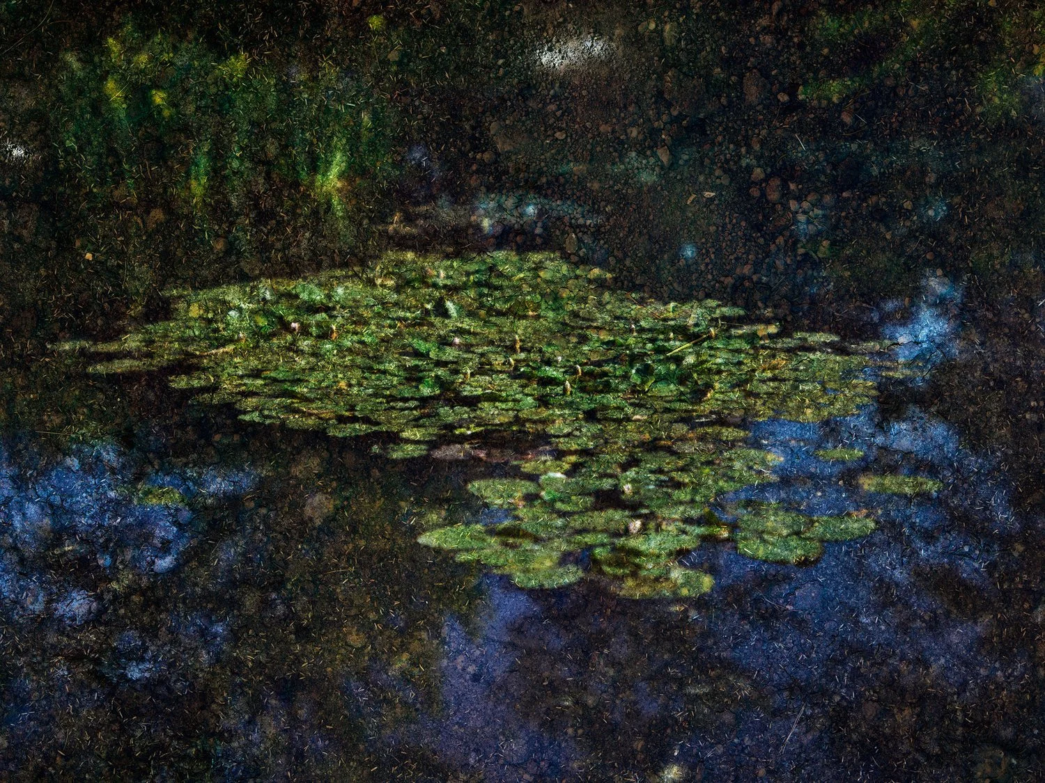 Light, Perception, Points, Pixels