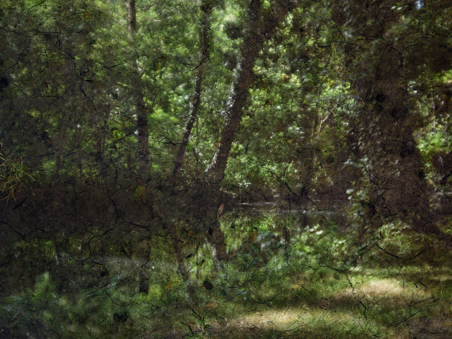 2023+-+Tent-Camera+Image,+The+Epte+River+2,+Near+Giverny,+France+web.jpg