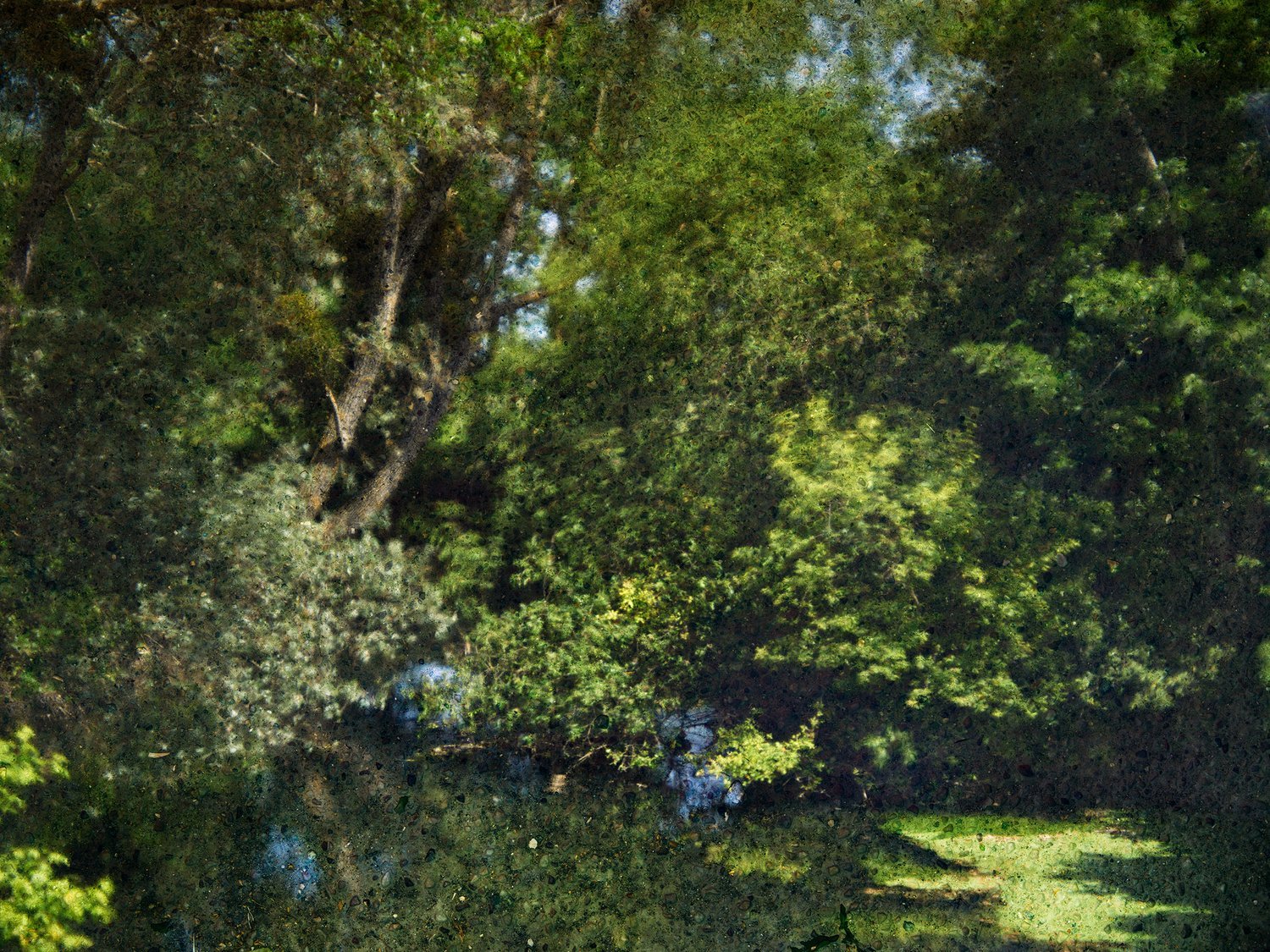 2023+-+Tent-Camera+Image,+The+Epte+River,+Near+Giverny,+France+web.jpg