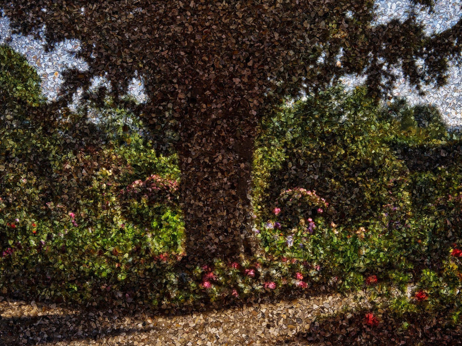 2023+-+Tent-Camera+Image,+Yew+Tree+in+Monet's+Garden,+Giverny,+France+web.jpg