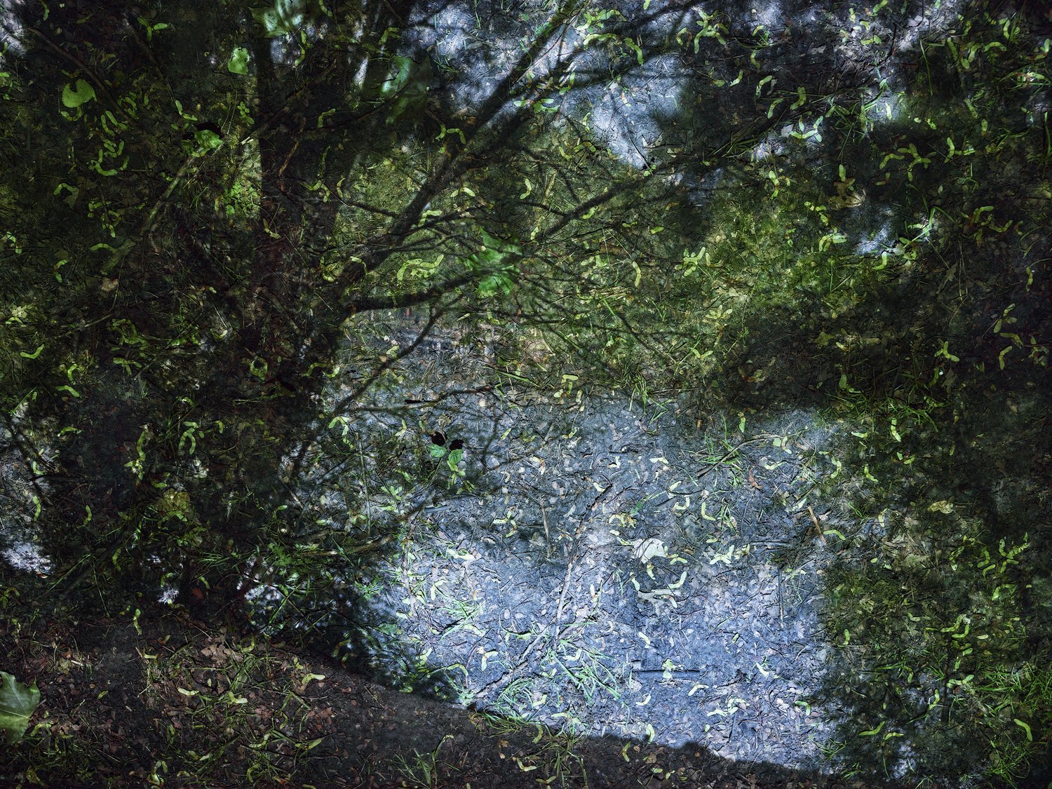 2017_Tent+Camera+Image.+Pond+in+Hampstead+Heath.+London,+England,+2017+(After+Constable+series)+.jpg