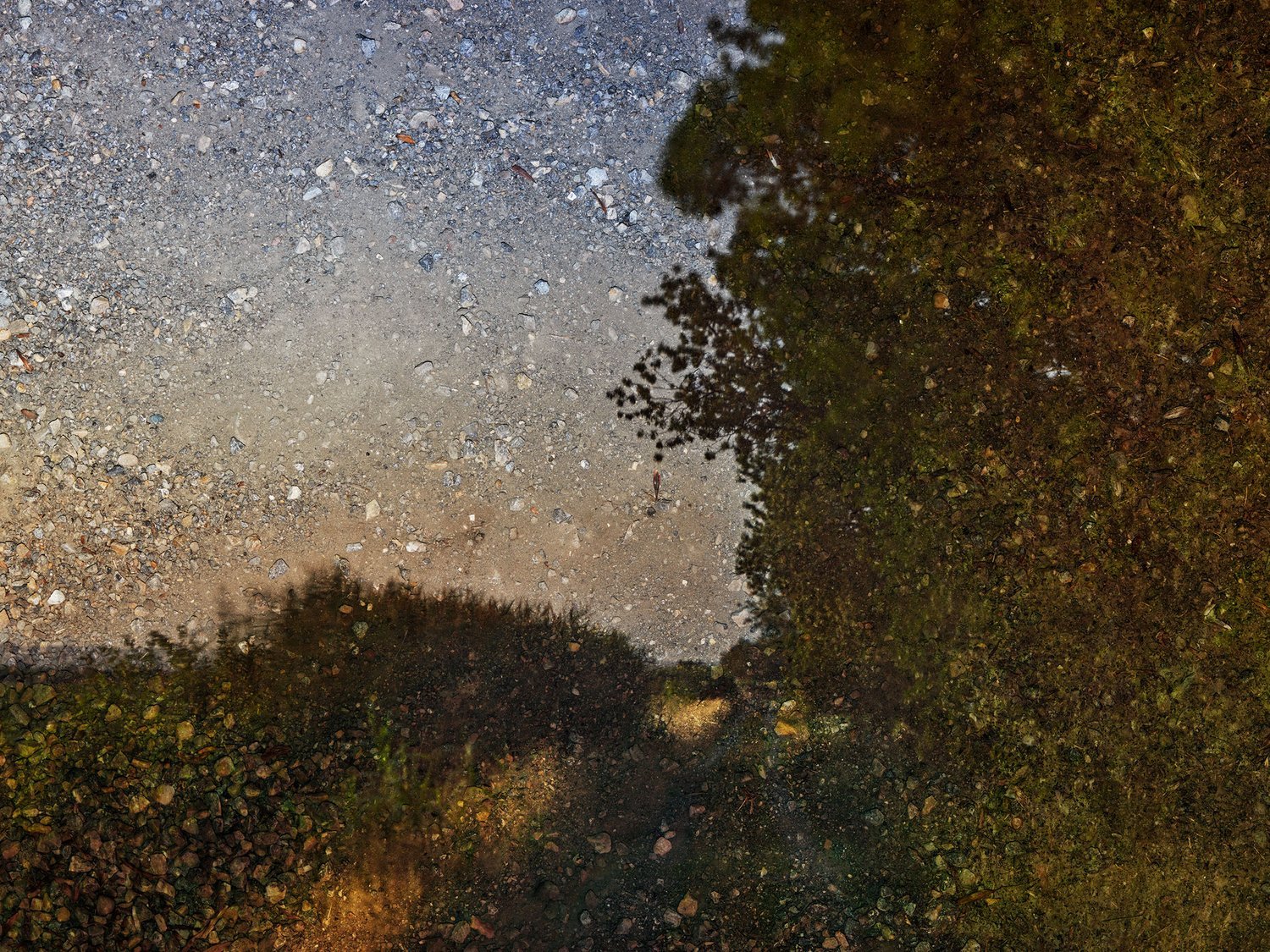 2022+-+Tent+Camera+Image,+View+of+Road,+Near+Arles,+France+web.jpg