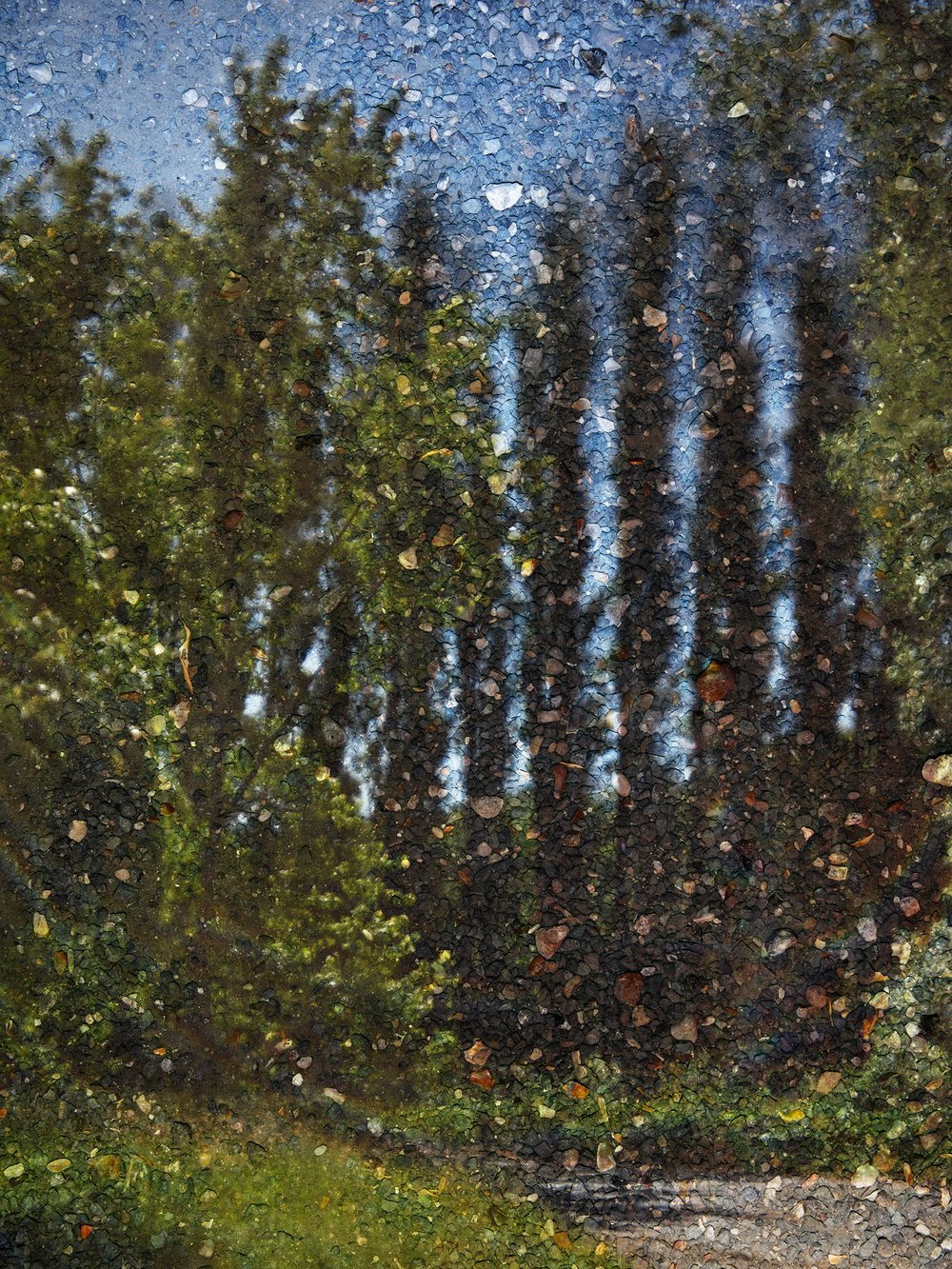 2023+-+Tent-Camera+Image,+Poplars+by+the+Oise+River+1,+Auvers,+France+web.jpg