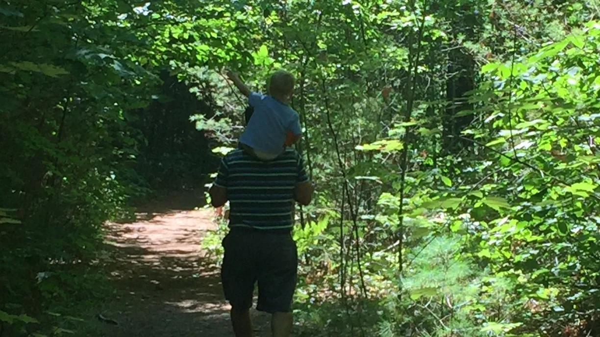 2017 Social Security and Medicare Increases