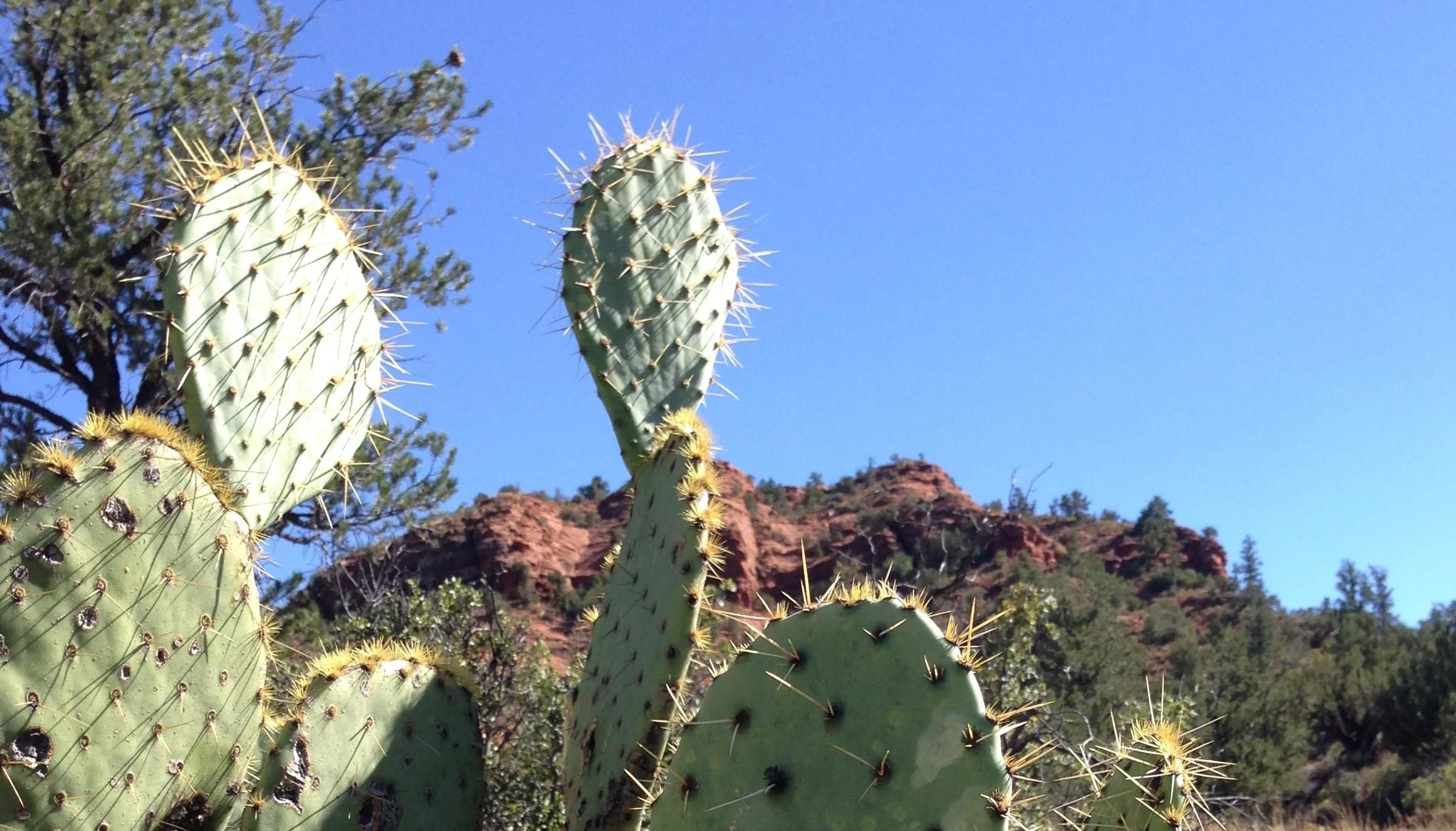 2018 Social Security COLA