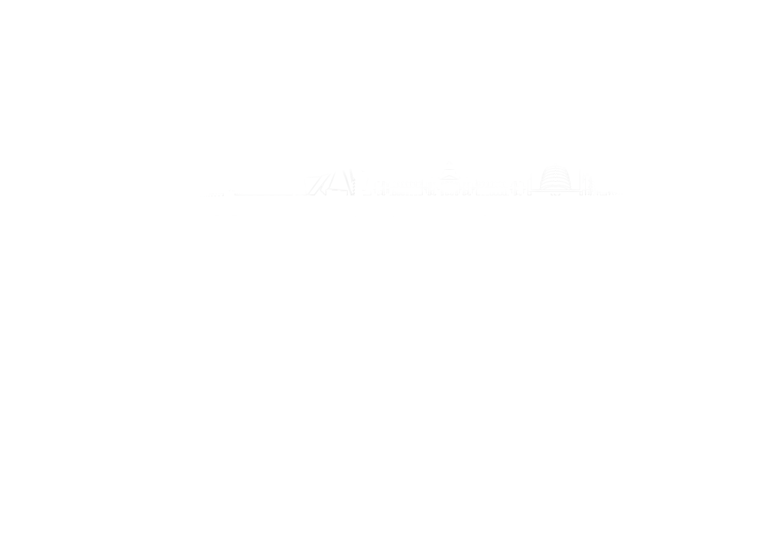 Rubicon Logo White.png