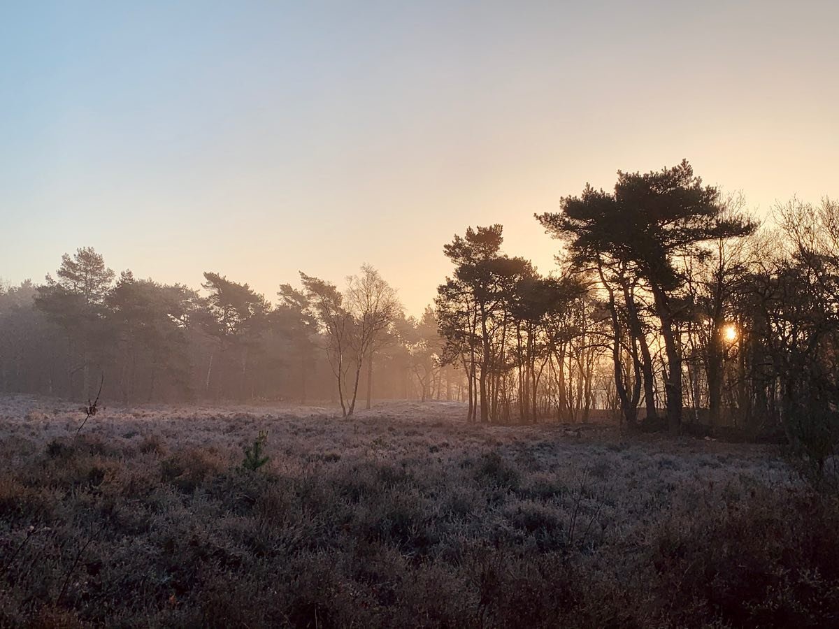 Is het alweer zo lang geleden dat ik iets postte?
Tijd voor een foto van een plek waar ik vaak te vinden ben, de Postiljonheide in Laren. Om en rondje te hardlopen of te picknicken met de kinderen. Ja, het heeft weinig met mijn werk te maken (hoewel 