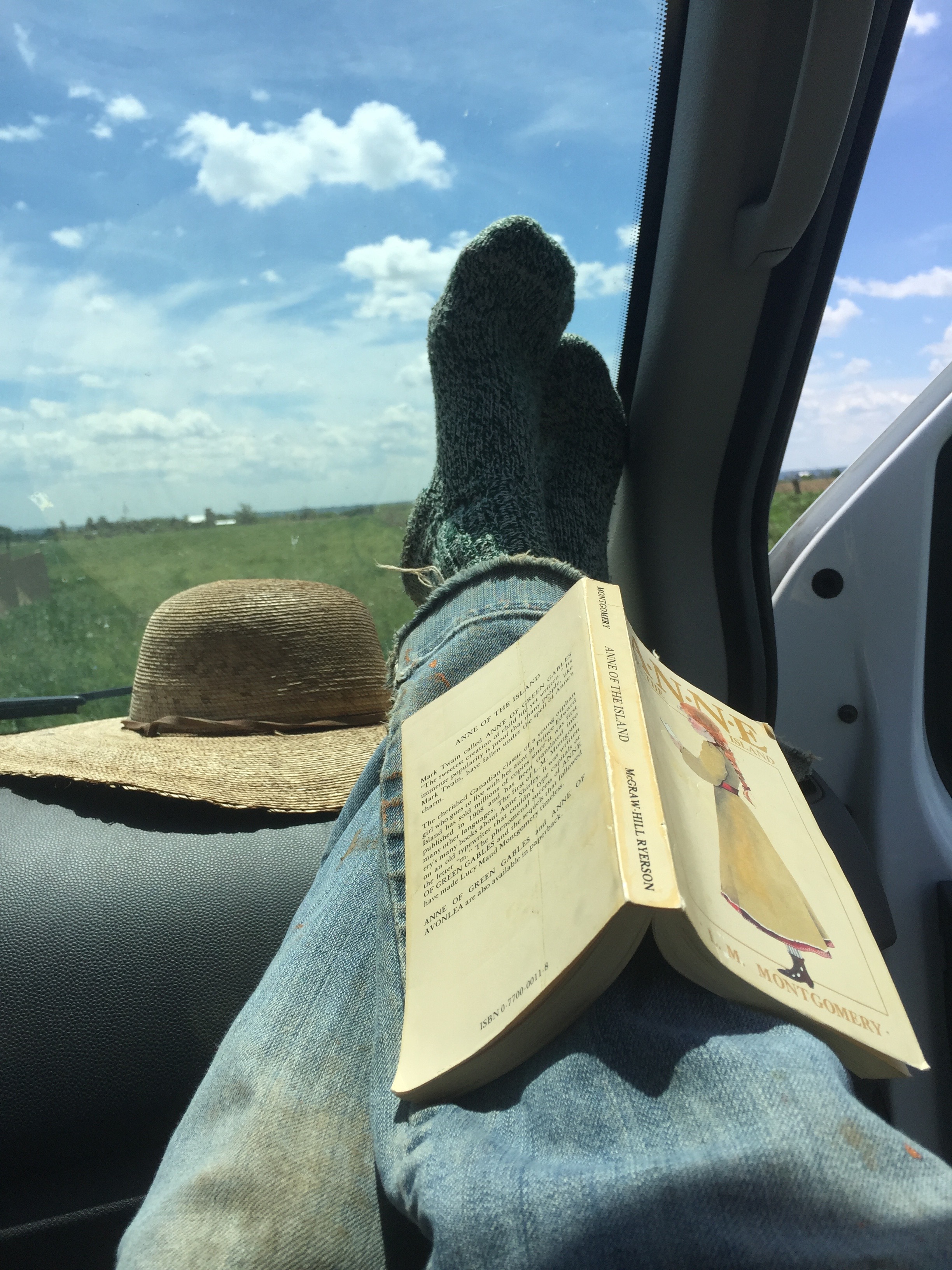 farm resting scene