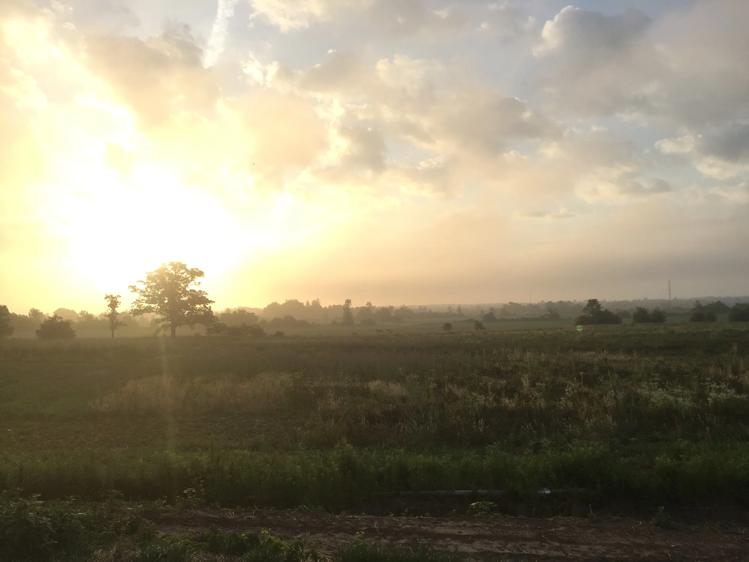 farm sunrise