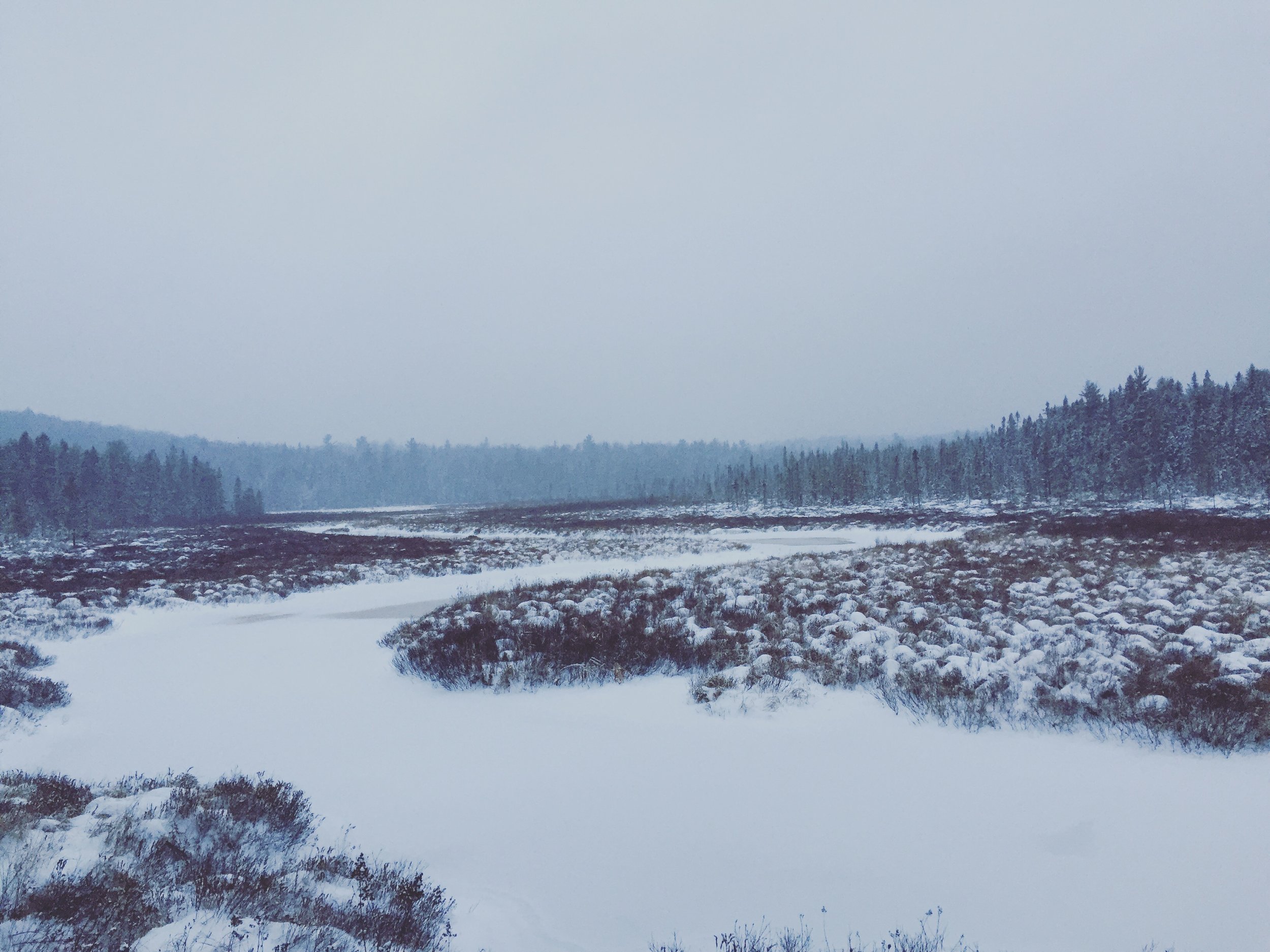 winter scene
