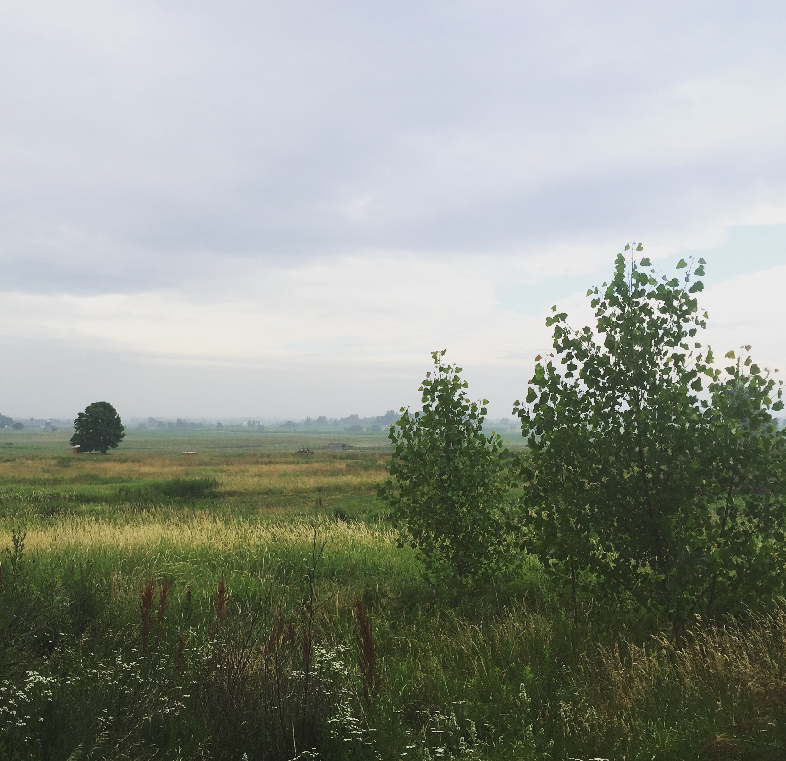 farm scenes