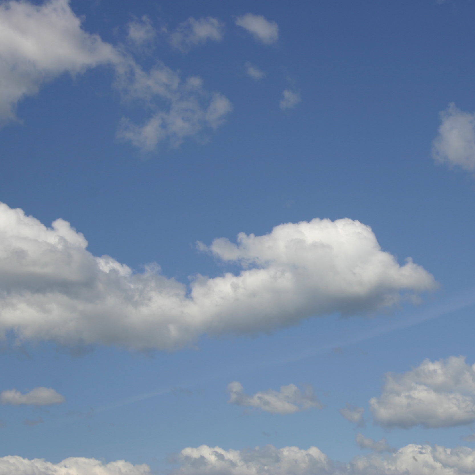 blue skies