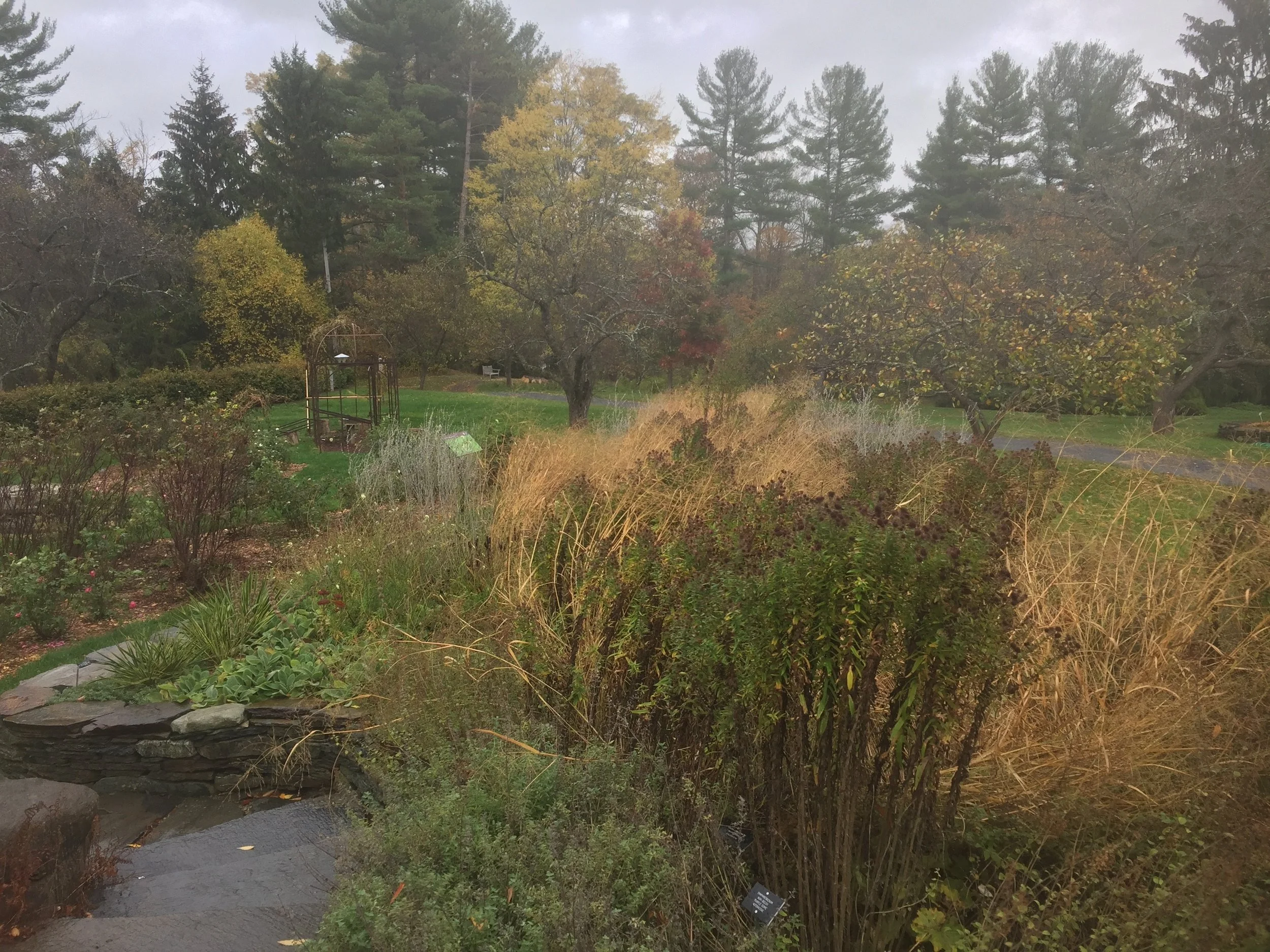 botanical gardens, fall