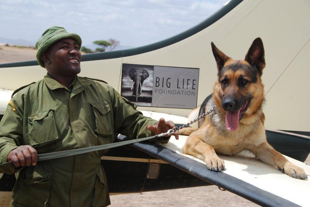 Big Life Foundation