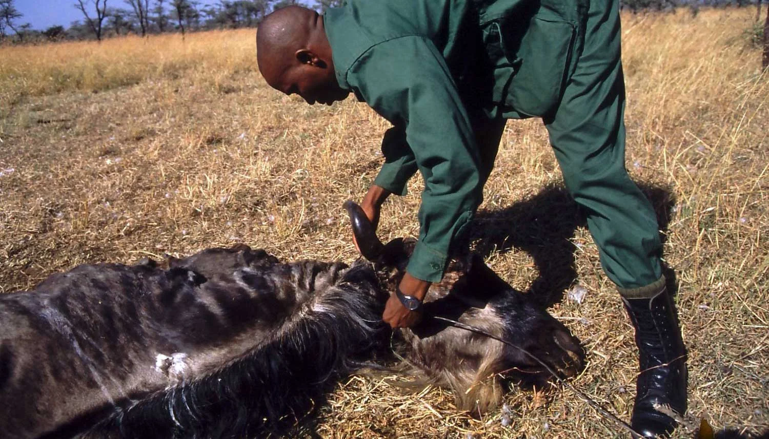 Unterschätzter Würgetod