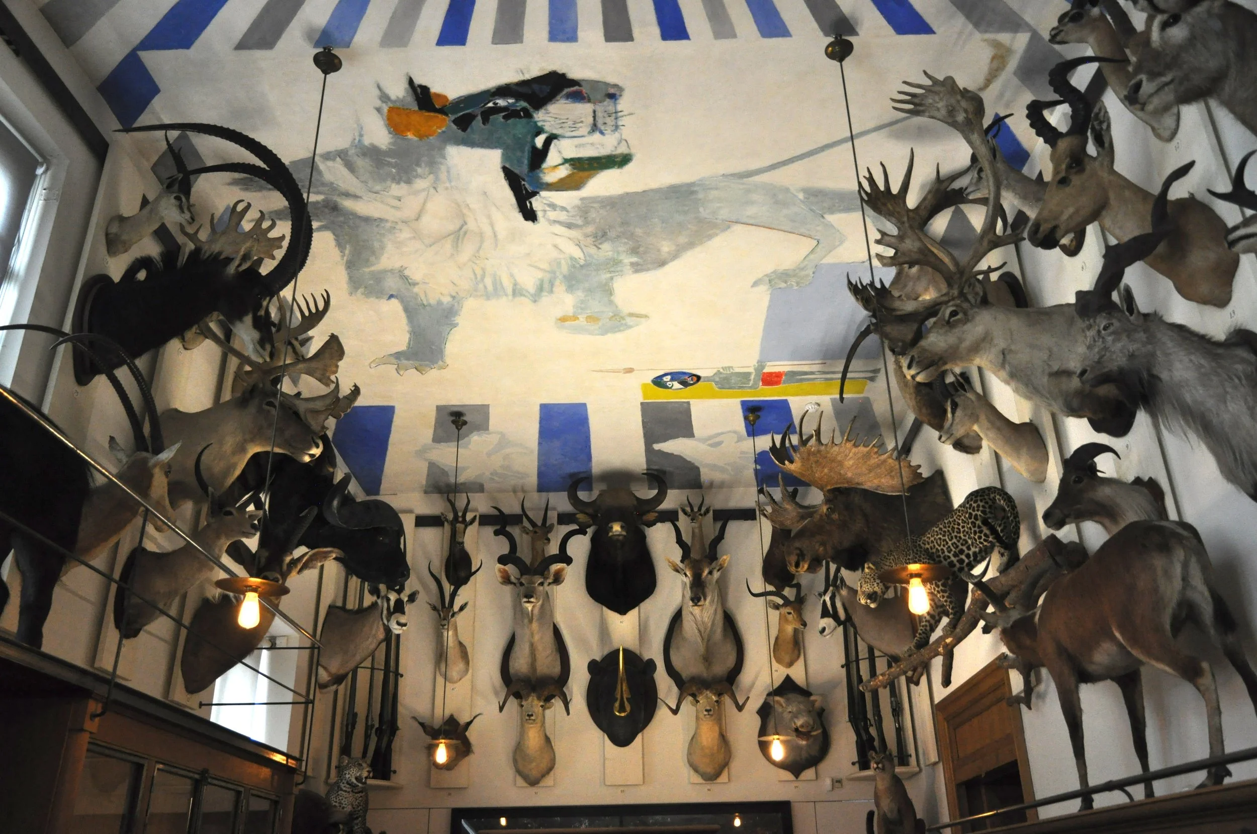 Afrikas importierte Wilderei