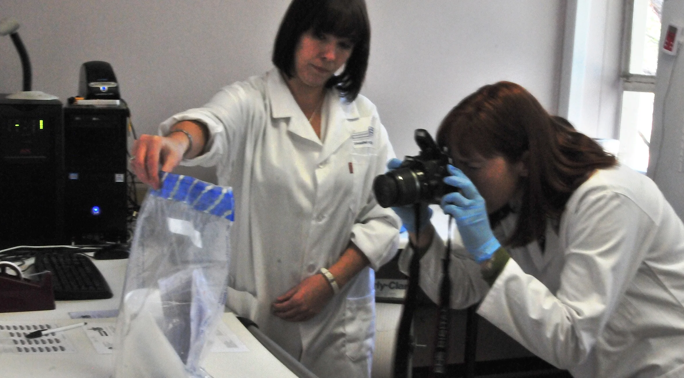Labor: Auf Identitätssuche per Rhino-DNA-Analyse