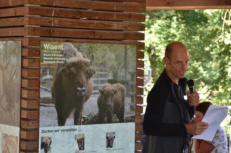 Wisent-Spezialist Marc Rosset schildert das Schicksal des Wisents