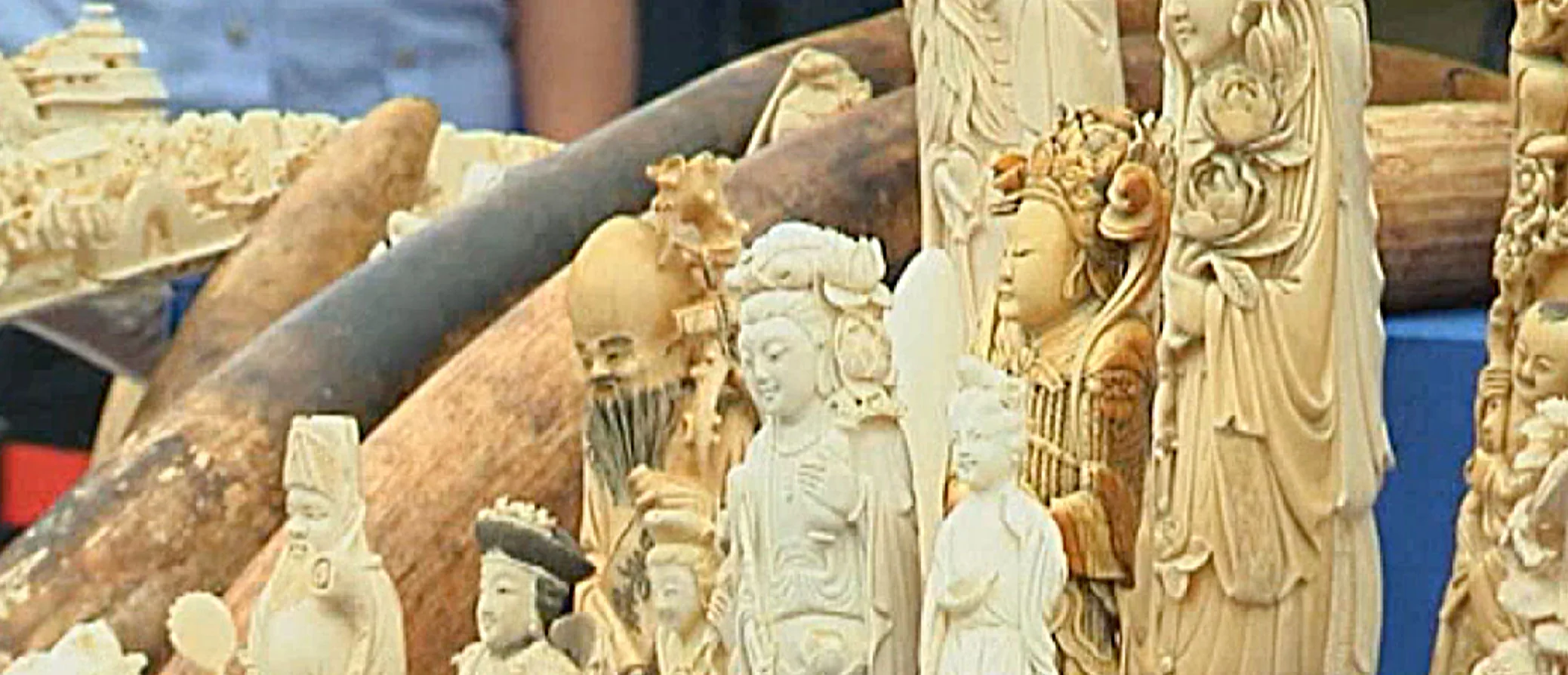 Elfenbeinschitzereien in China: Tausende Afrikanische Elefanten zahlen mit ihrem Leben | Screenshot