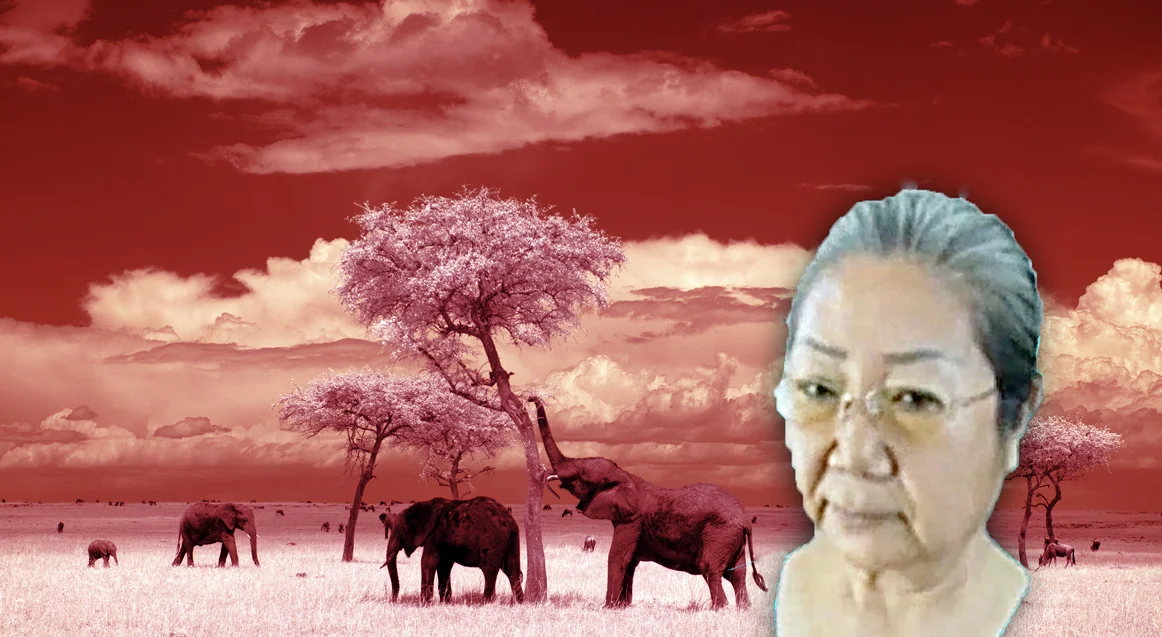 «Ivory Queen»: Strafe mit Schongang