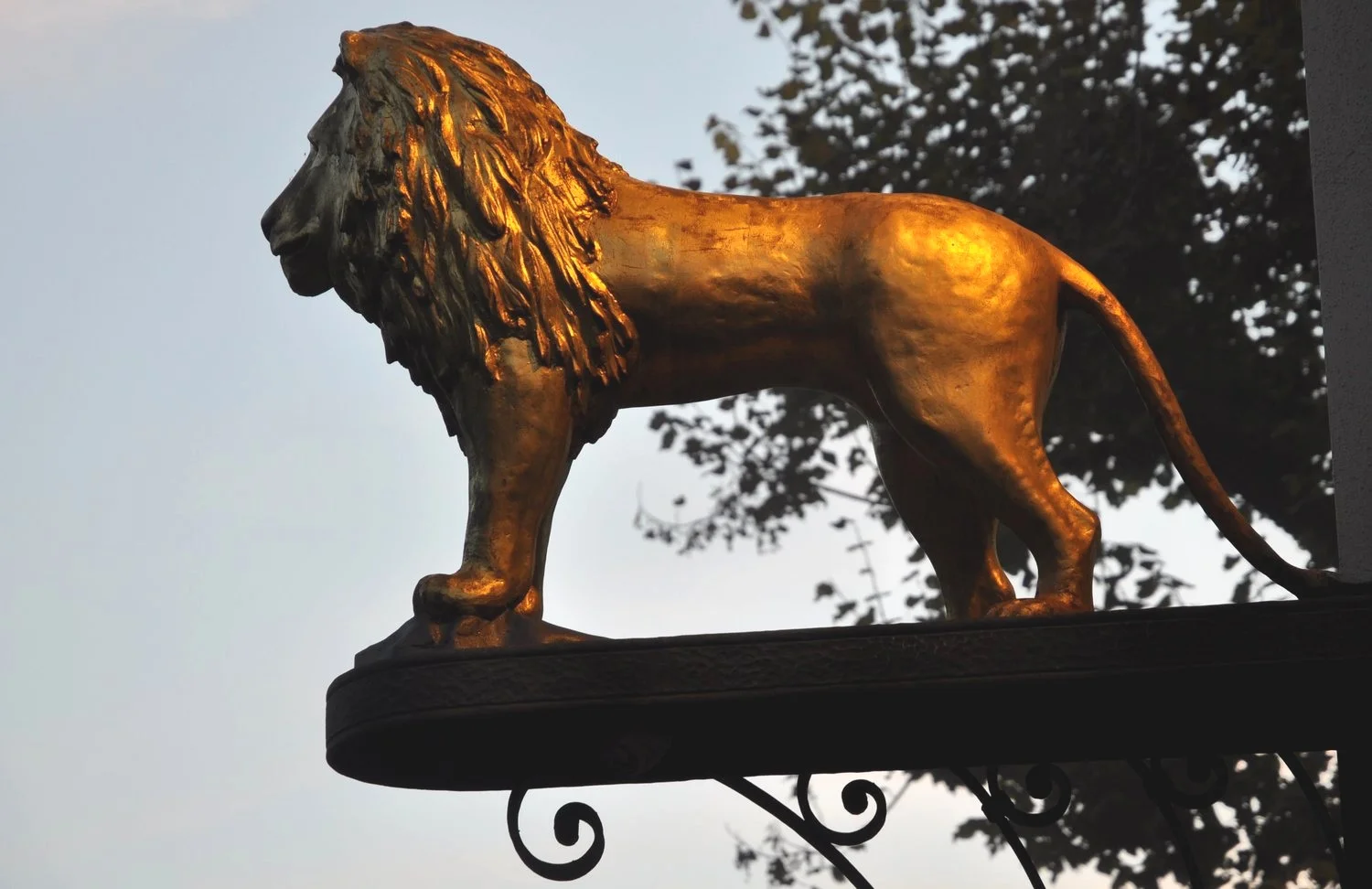 Afrikas Wildtierschutz beginnt – in der Schweiz