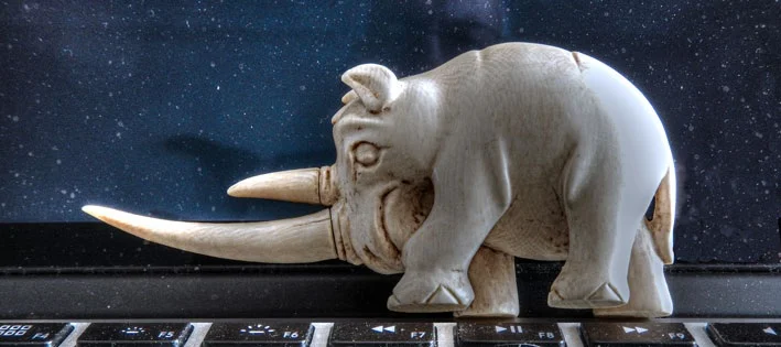 Unheimlicher Wildtier-Handel im Web