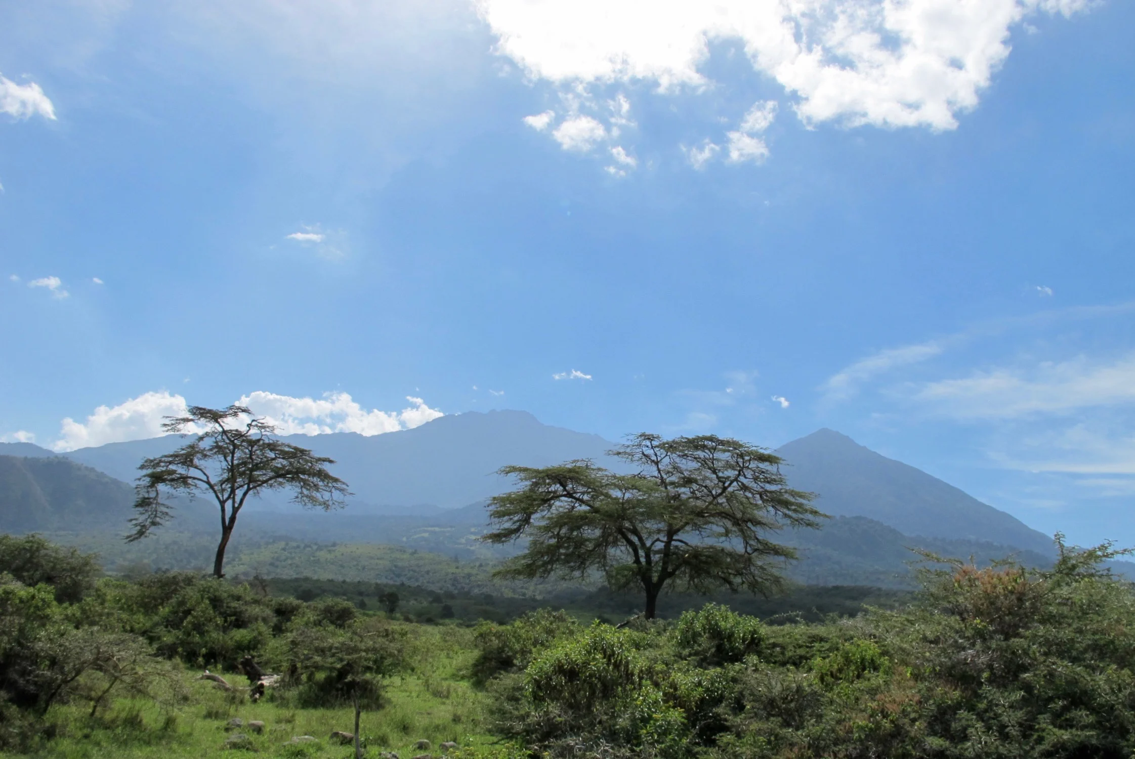 Aushapark_Mt.Meru 2014
