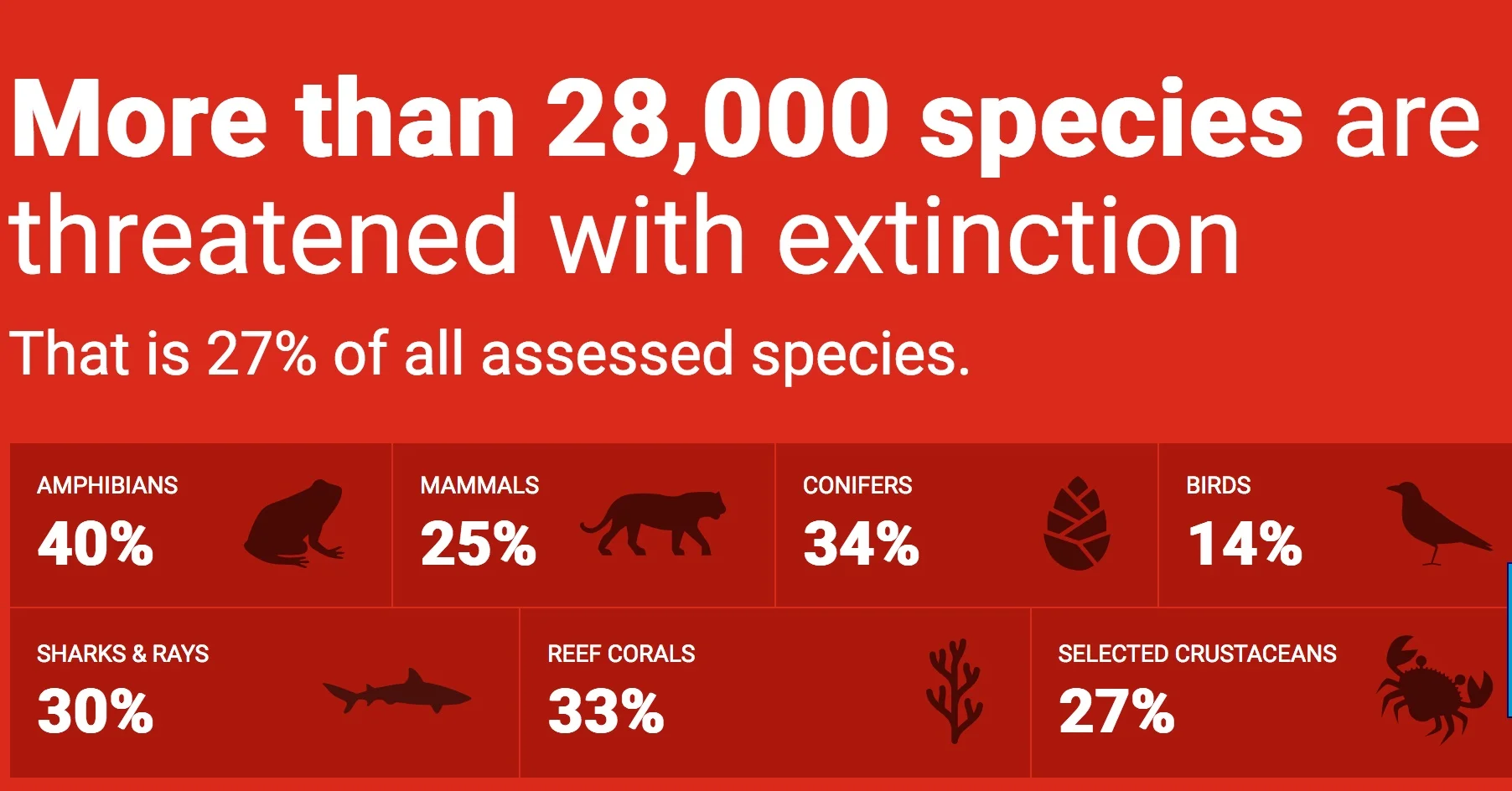 Rote Liste: Über 28’000 der bekannten Tierarten vor der Ausrottung bedroht | © Cites