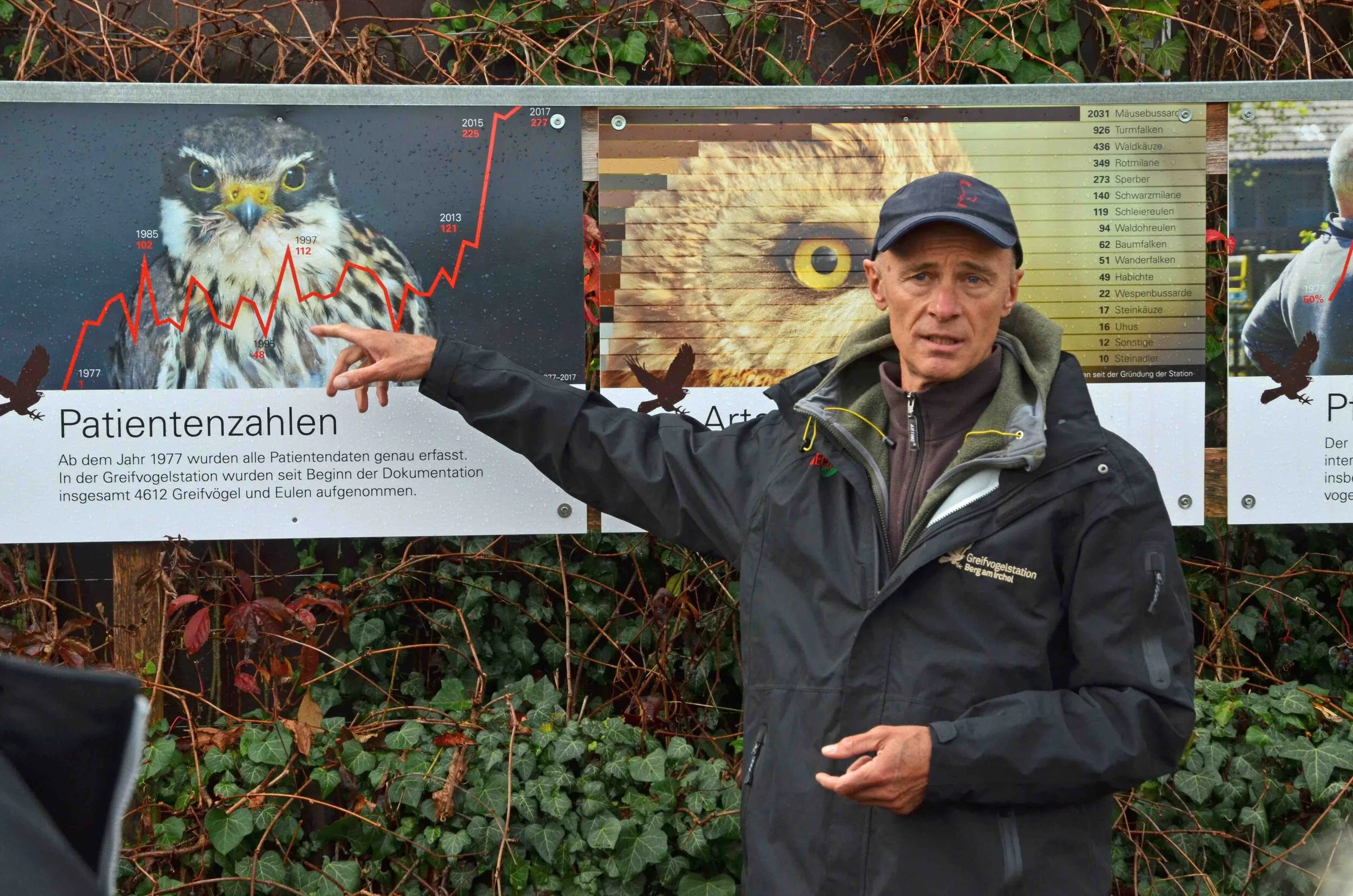 Schnellstes Tier: Vogelkenner Claude Järmann zeigt auf einen Wanderfalken