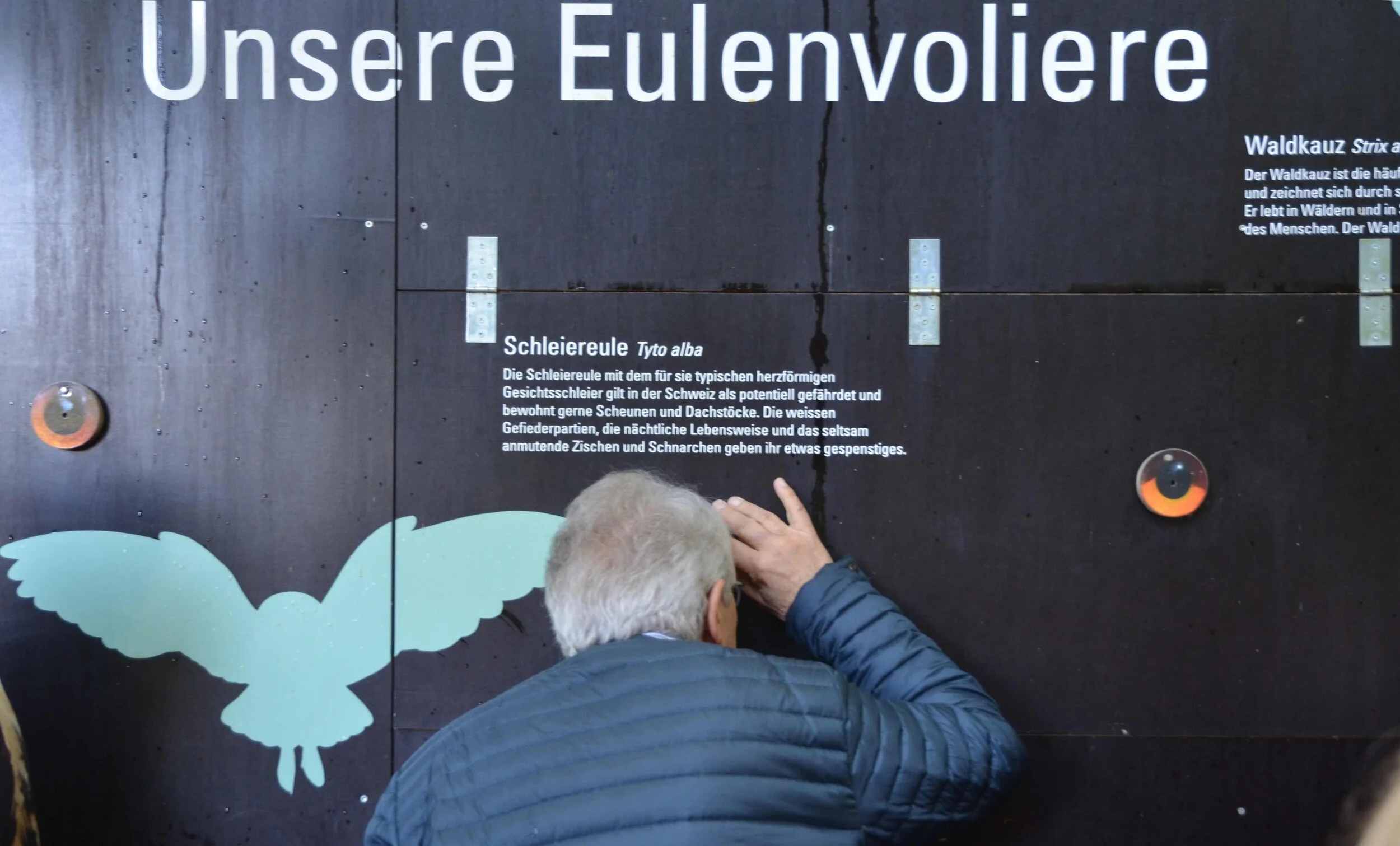 Guckloch_1229WEB©RSuter.jpg
