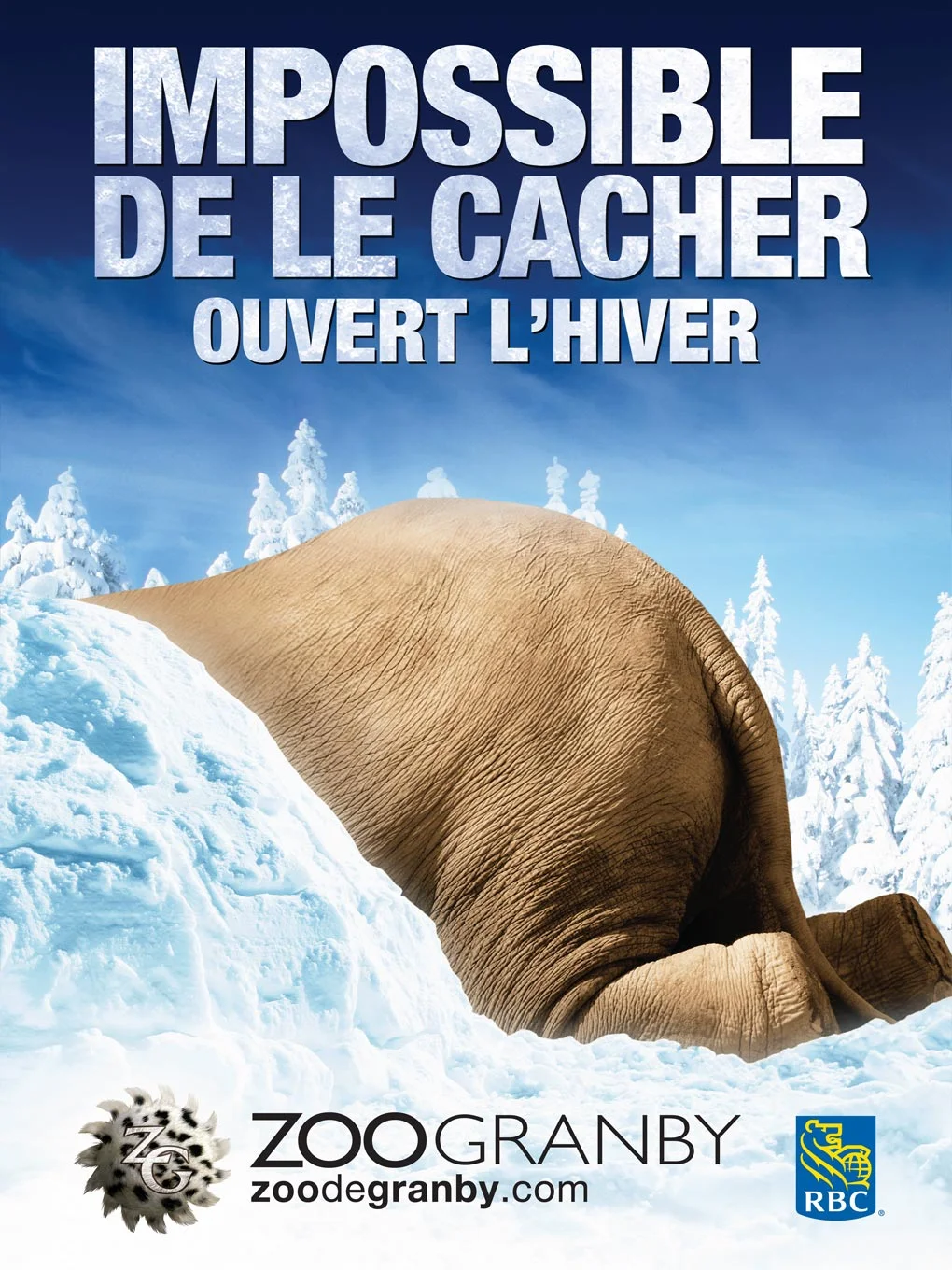 zoo_affichage_elephant.jpg