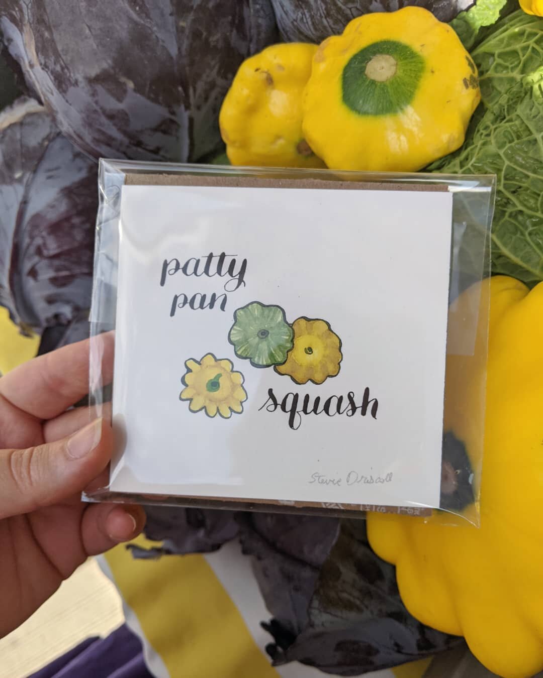 Twinning at the farmers'market again. 💅

#pattypan #pattypansquash #underpasspark #botanicalart #botanicalpainting