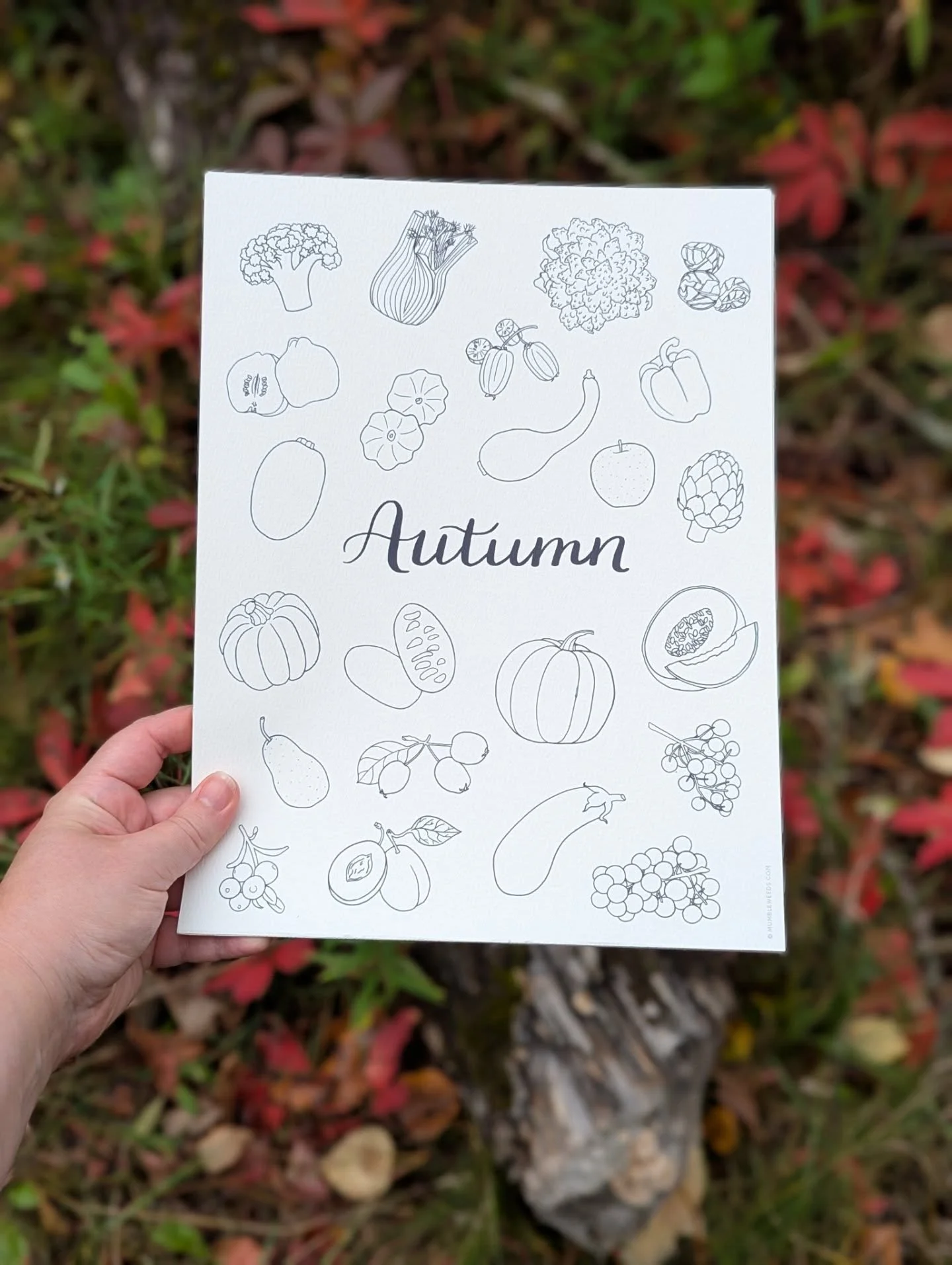 New colouring sheet for the @evergreen_brick_works market tomorrow!

Printed on lightweight watercolour paper, you can colour these with paints, pencil crayons, or whatever you like. 💕

#colouringsheets #fallcrafts