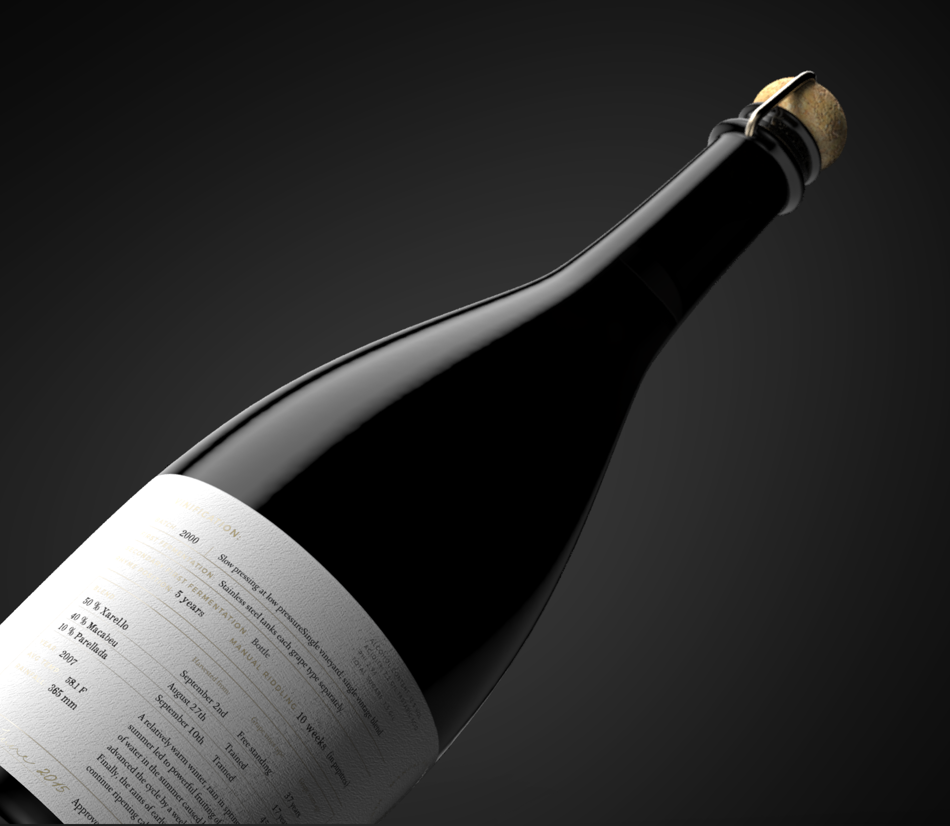 Raventos_i_Blanc_Label_Rendering_2.png