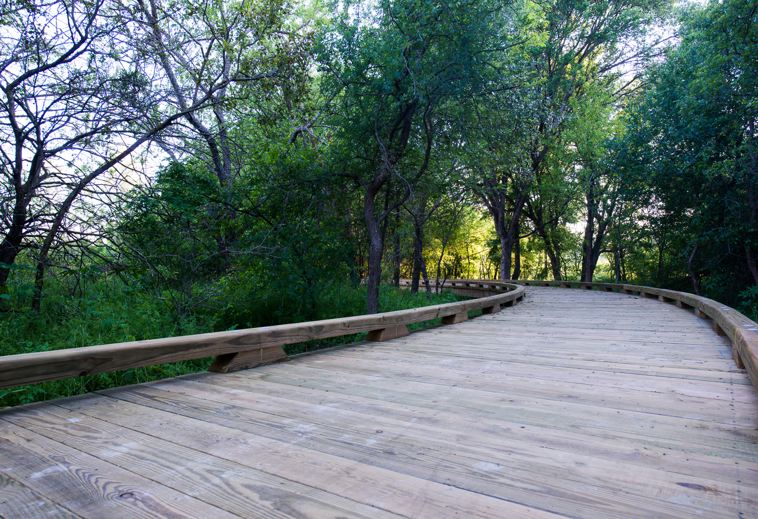 PalomaCreek-9.jpg