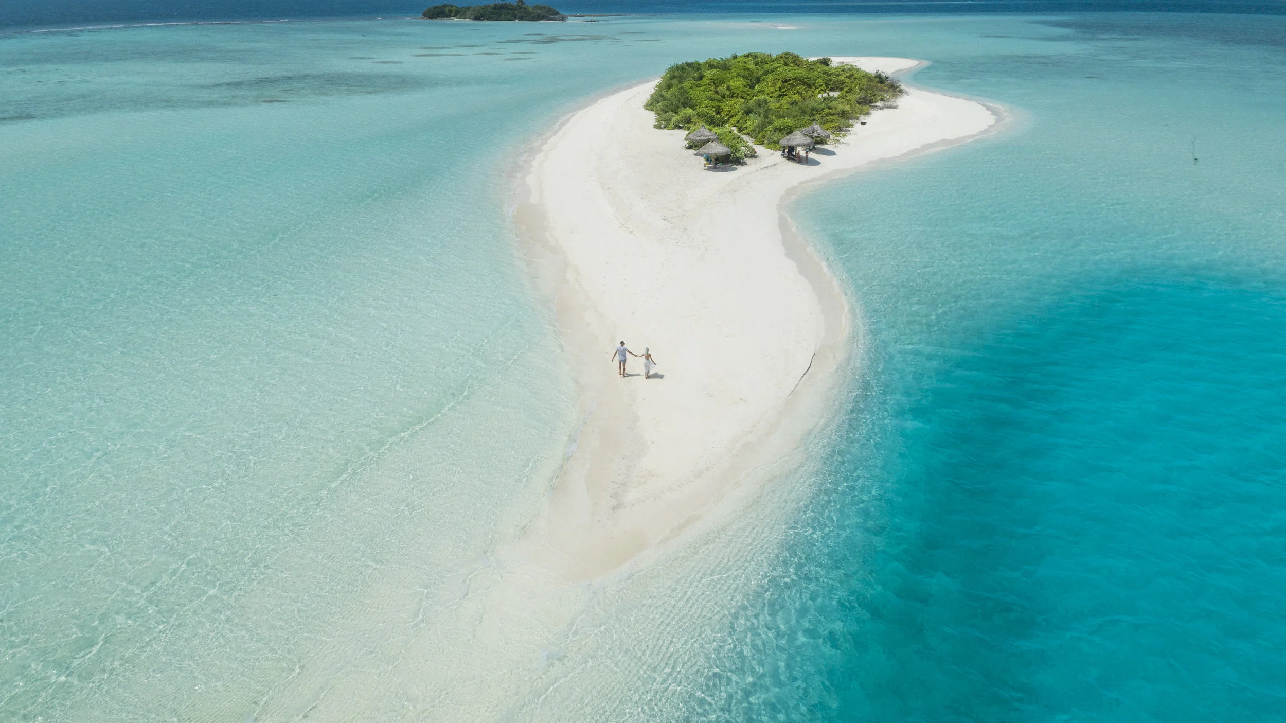 HONEYMOONS