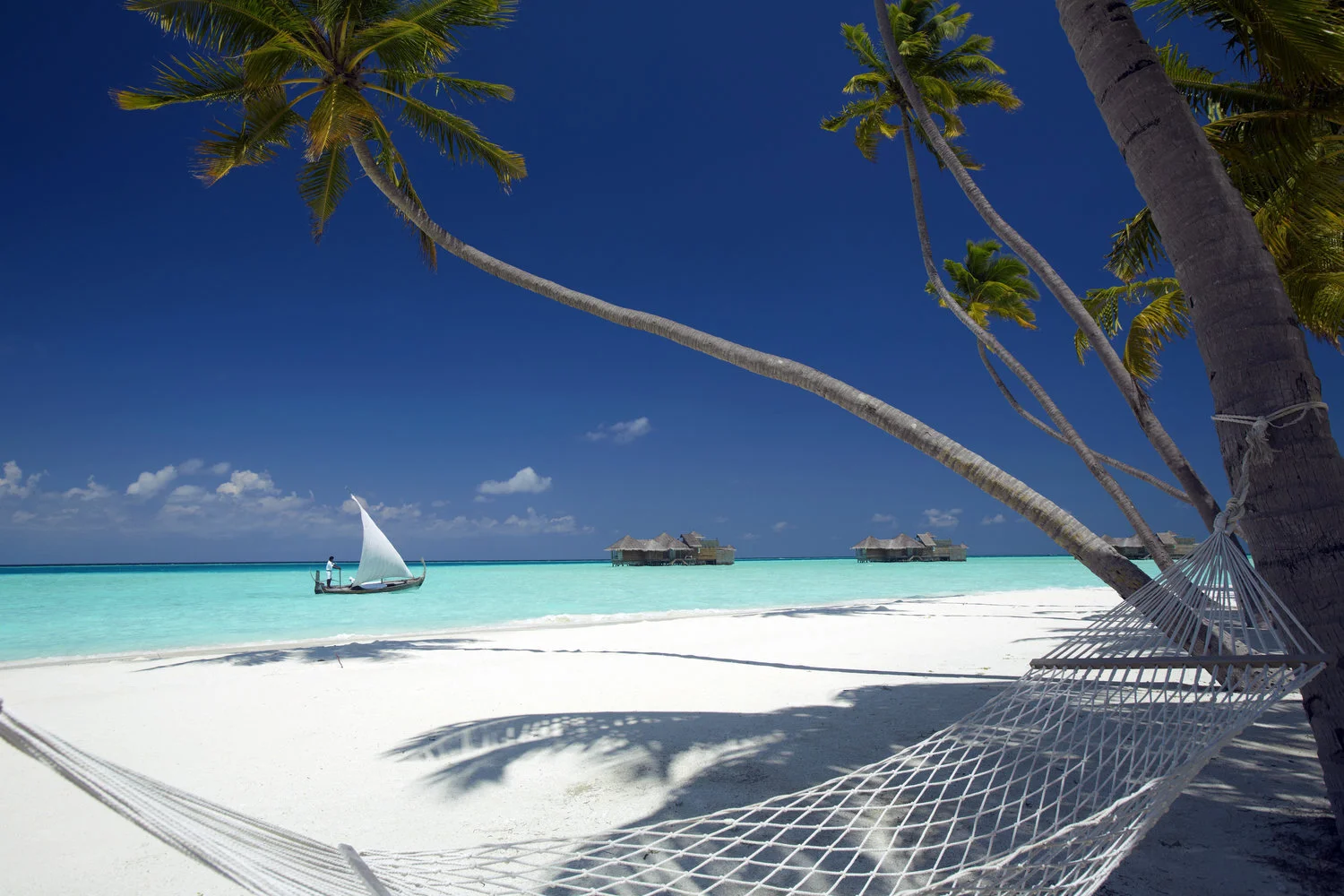 luxury+beach+honeymoon+travel+company.jpeg