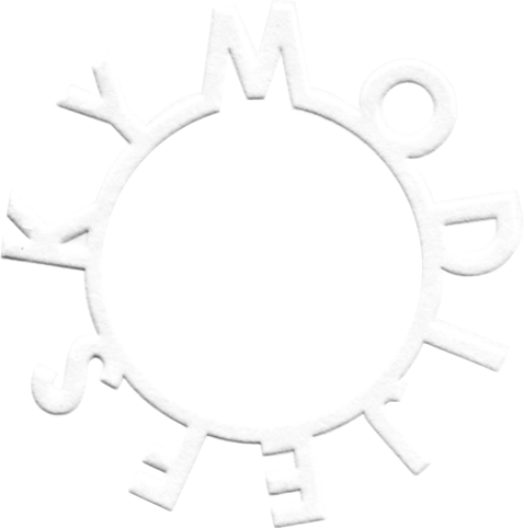 LOGO RELIEF uitgeknipt.jpg
