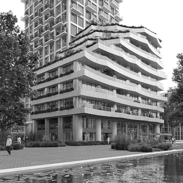 WEBSITE IMAGES SQ2.jpg