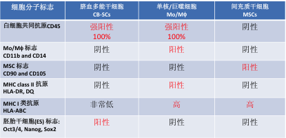 表 1.CB-SC 的分子表型不同于单核/巨噬细胞和间充质干细胞。 