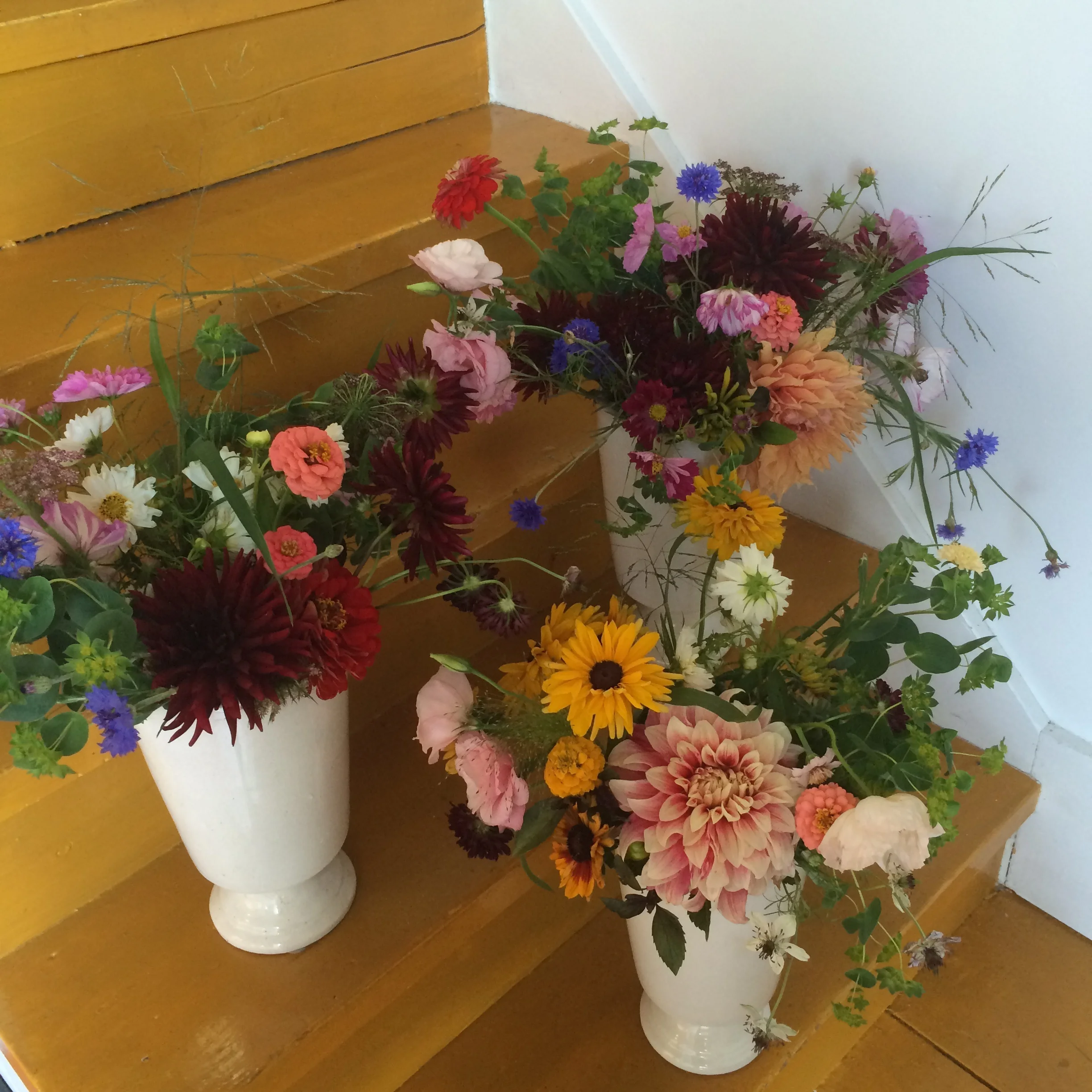 Fall into Fall flowers and birthdays and celebrations. I've loved this first season of being able to harvest Flora-grown flowers from my field. Learning and learning and ok so I didn't really weed as I should have this year...But of course next year I'll do it all perfectly? And this season was about allowing space for it all in many senses: space for messiness and space for mistakes and space for experimenting and trying and seeing. Space to be small scale and space for learning how to prioritize and how to balance. Space to plan badly and for that to be ok. And space for creating my own way of working and getting to enjoy learning about each flower variety and seeing the growth process of each. 