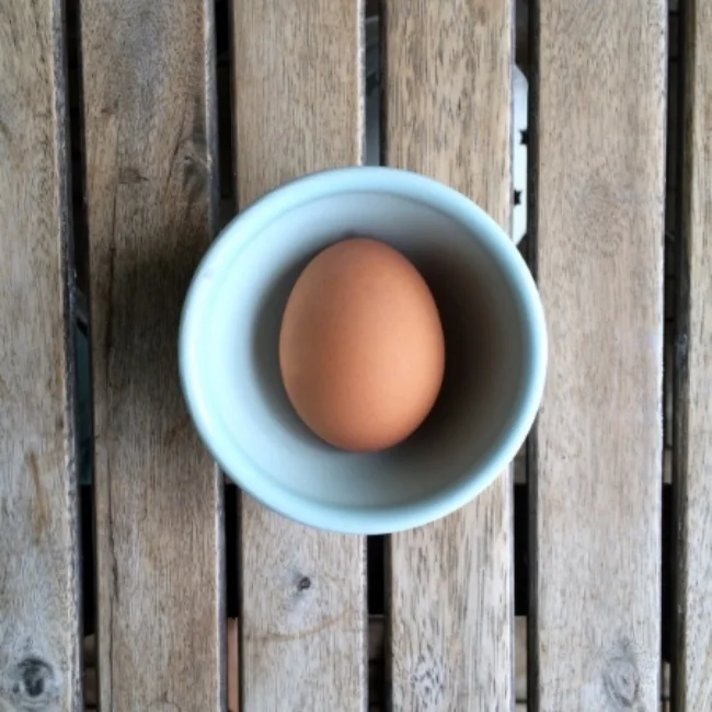egg.jpg