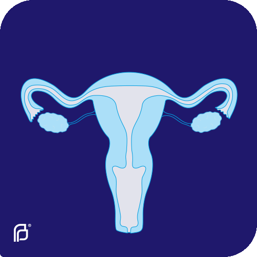 190426-Roo-AnatomyGif-Uterus-d01.gif