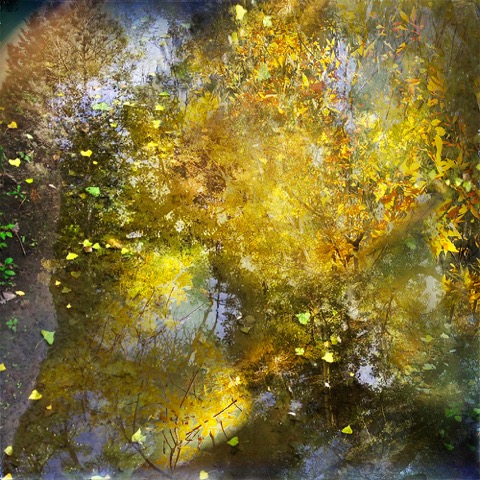 Aspects of Autumn 2.jpeg