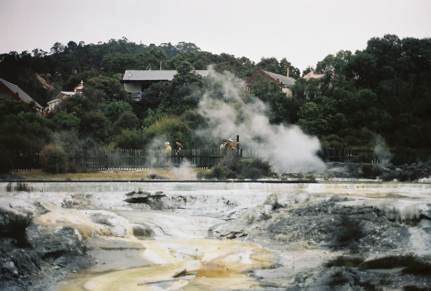 In Rotarua stood beside the sulphar pools, where the steam rises's up over the houses behind. 2/feb/15