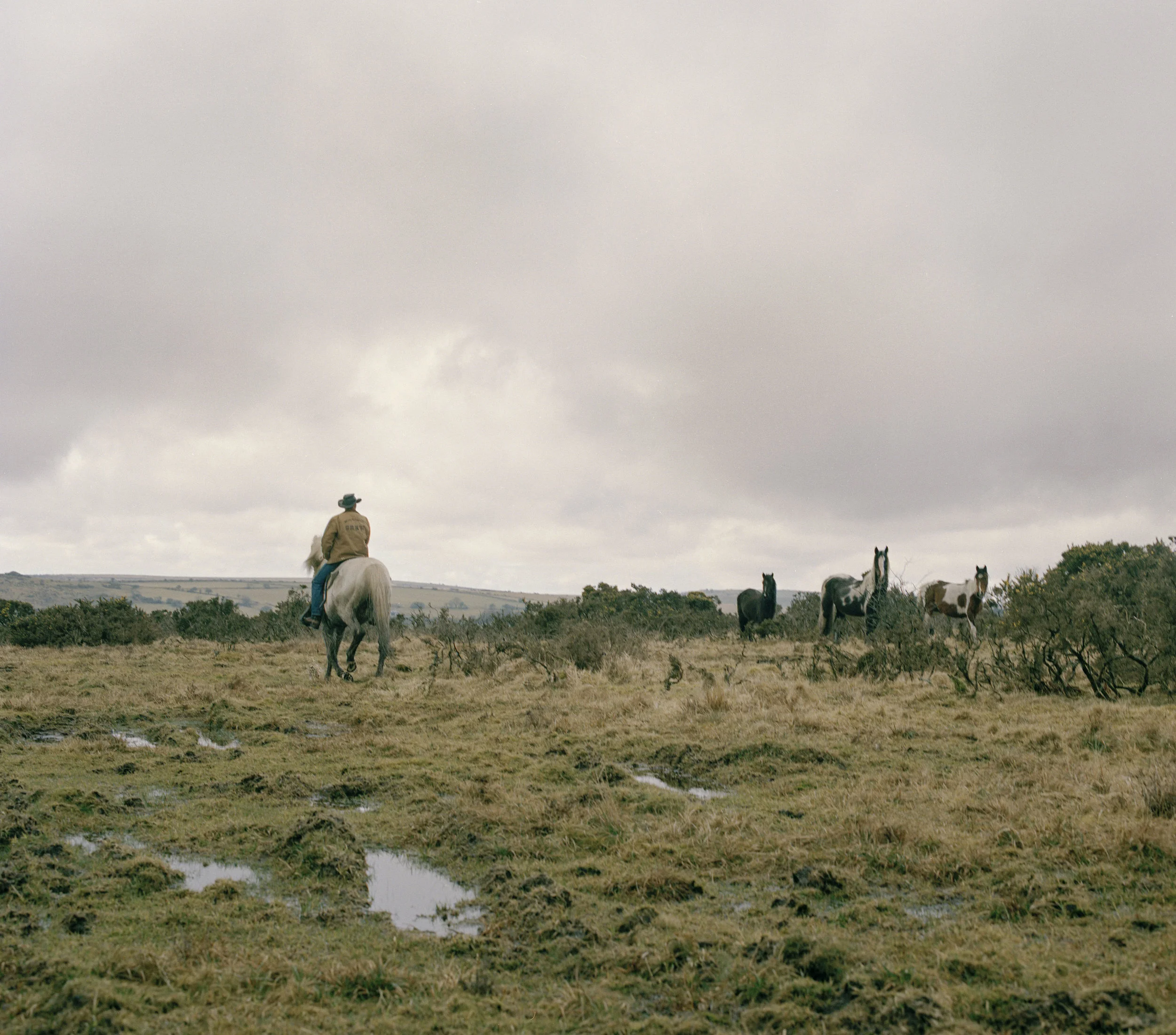 Dan Wilson riding across Bodmin moor.