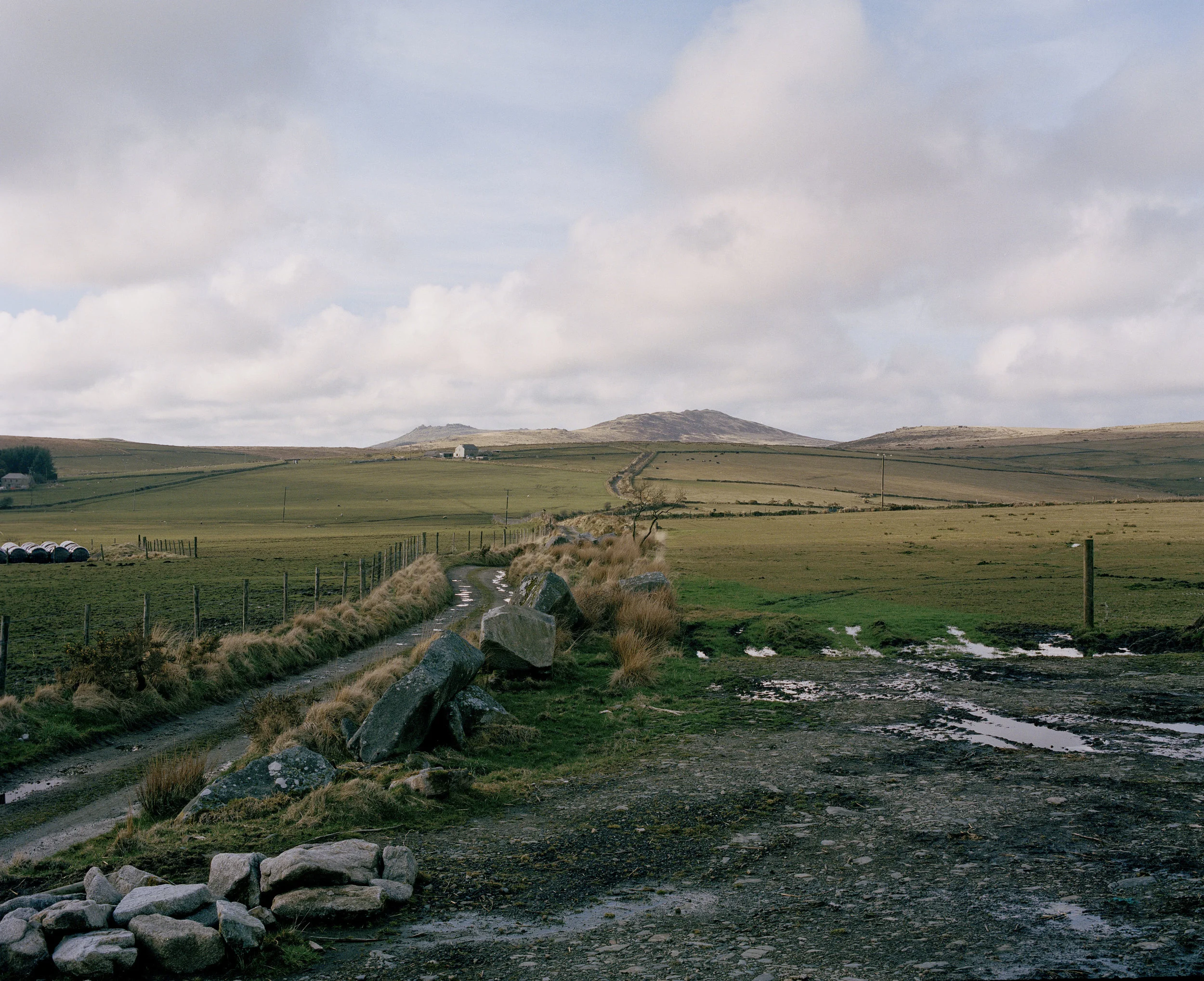 Bodmin Moor. This stretch of land is where Dan Wilson and his family have farmed for generations. They have all used western riding as a way of working with the cattle.