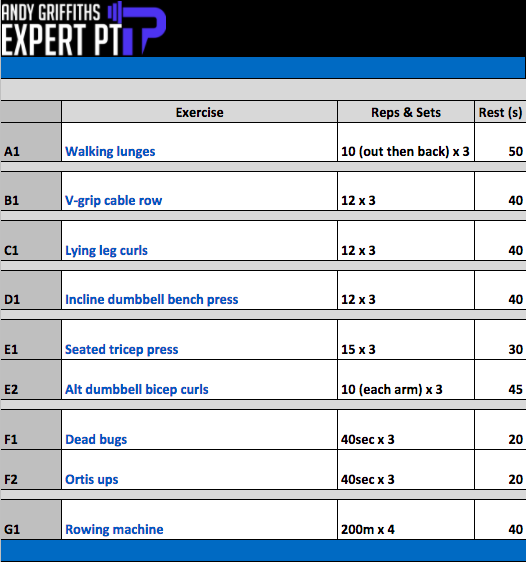 Training Plan Template Personal