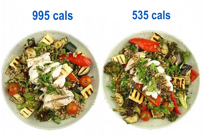 Calorie Counting.png