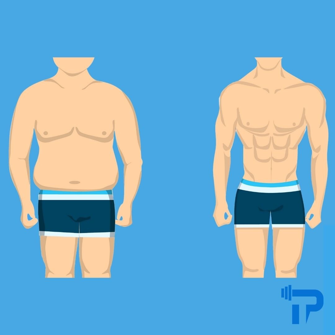 10 Effective Steps to Lose Belly Fat - Expert PT- Personal Training Online | Expert PT 10 Effective Steps to Lose Belly Fat - Expert PT- Personal Training Online | Expert PT